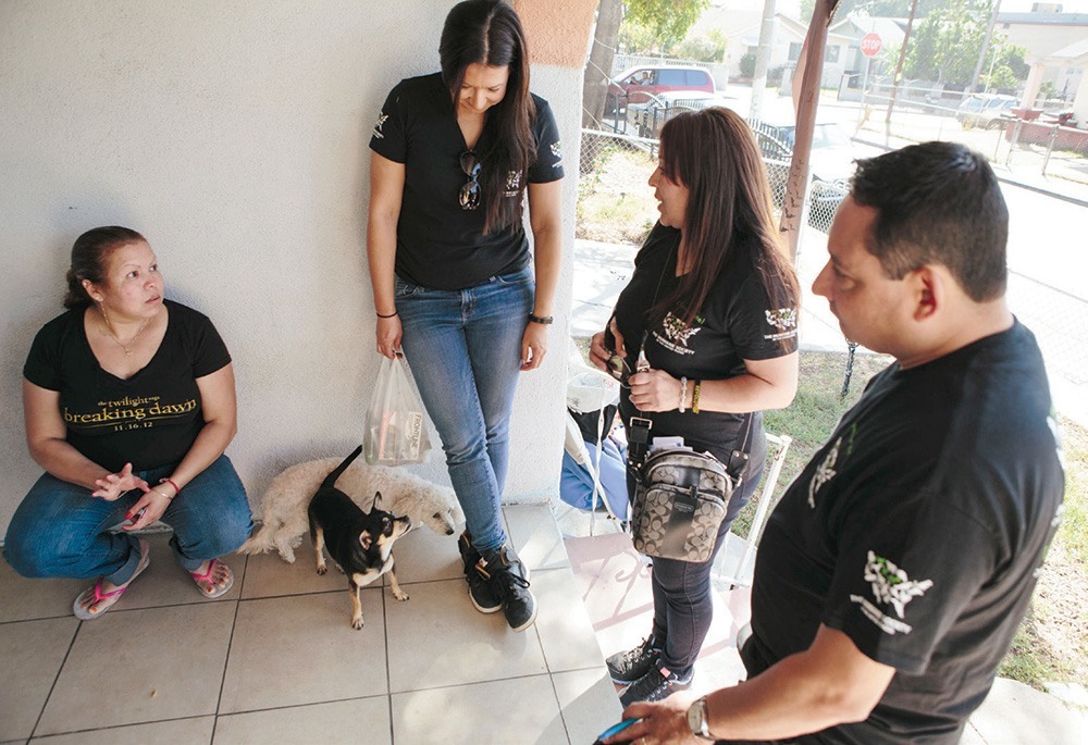 Crossing Borders Confronting Injustice Animal Sheltering Online By The Humane Society Of The United States